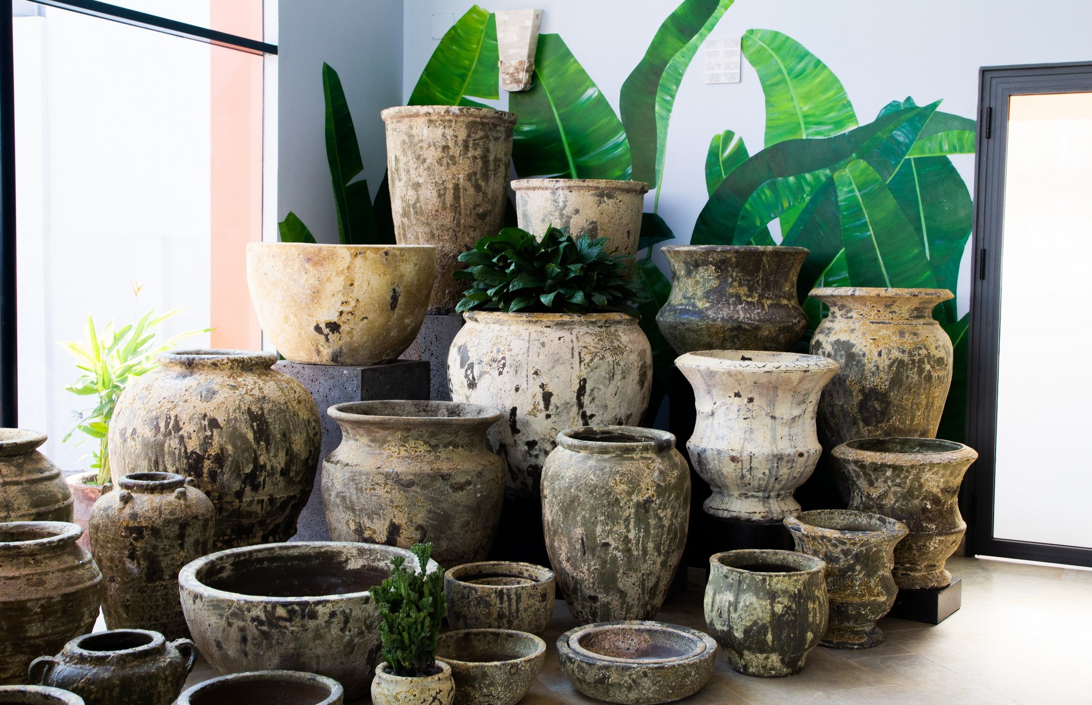 AD RANGE AT SHOWROOM IN VIETNAM