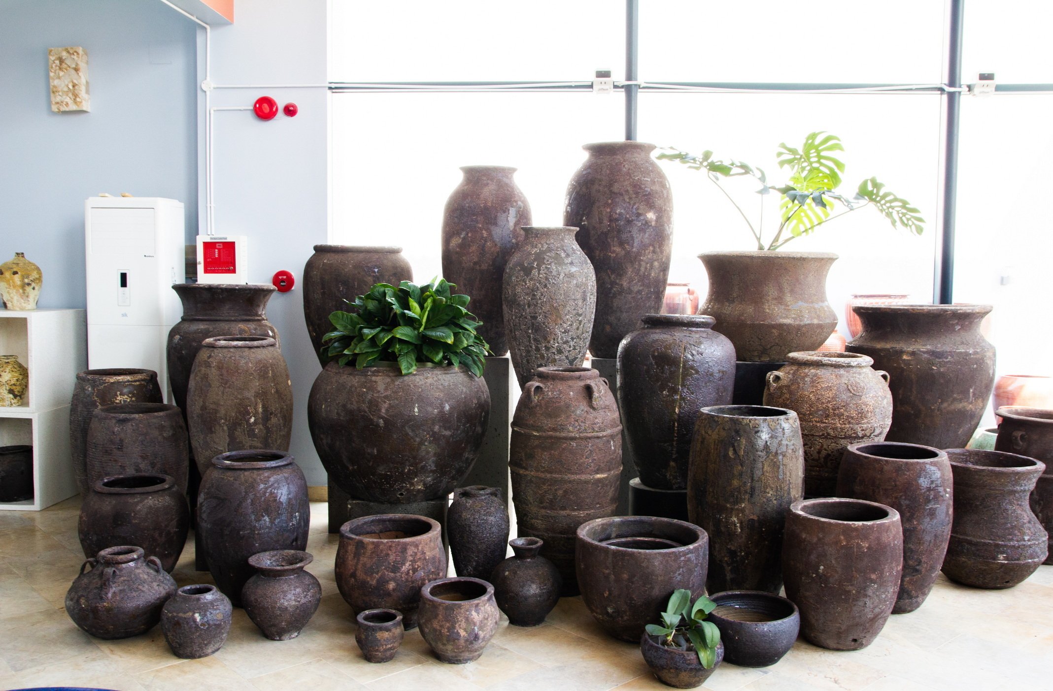 AH RANGE AT SHOWROOM IN VIETNAM