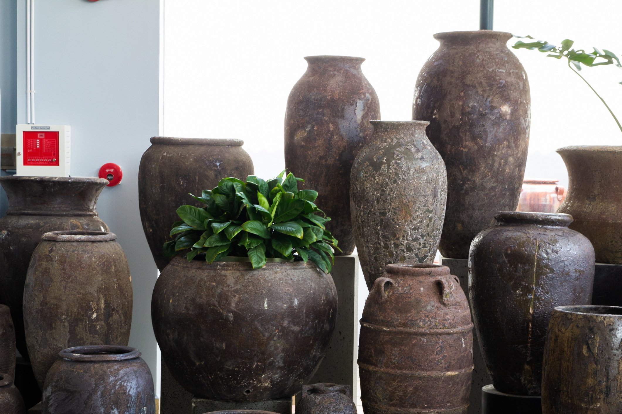 AH RANGE AT SHOWROOM IN VIETNAM