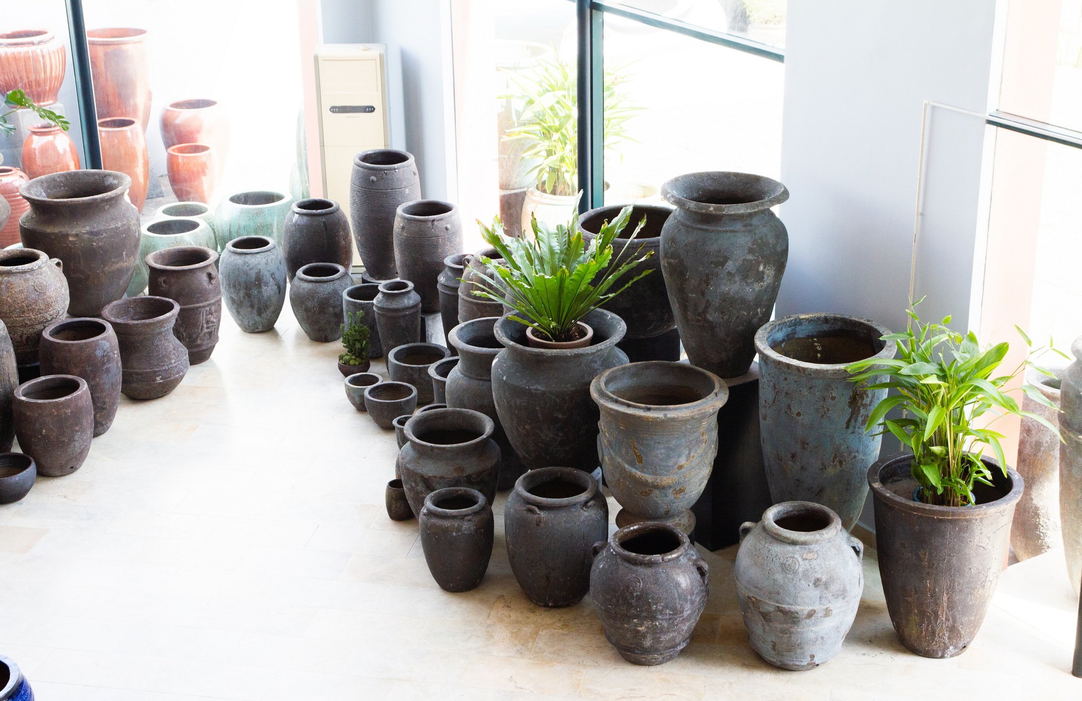 AV RANGE AT SHOWROOM IN VIETNAM