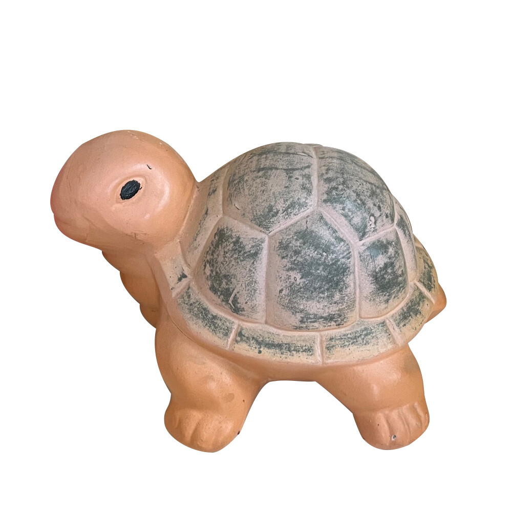 Little Turtle 1005CB