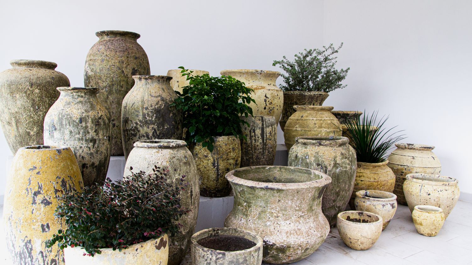 VietNam Pottery Manufacturer